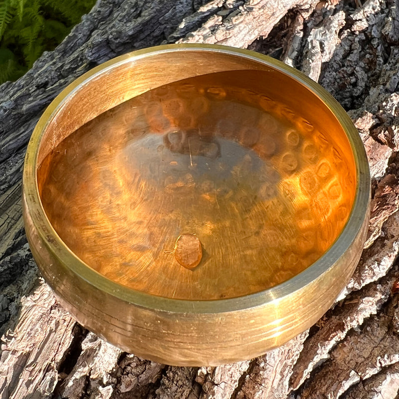 Tibetan Singing Bowl with Phenakite #51-Moldavite Life
