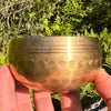 Tibetan Singing Bowl with Phenakite #51-Moldavite Life