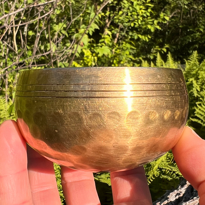 Tibetan Singing Bowl with Phenakite #51-Moldavite Life