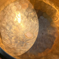 Tibetan Singing Bowl with Phenakite #51-Moldavite Life