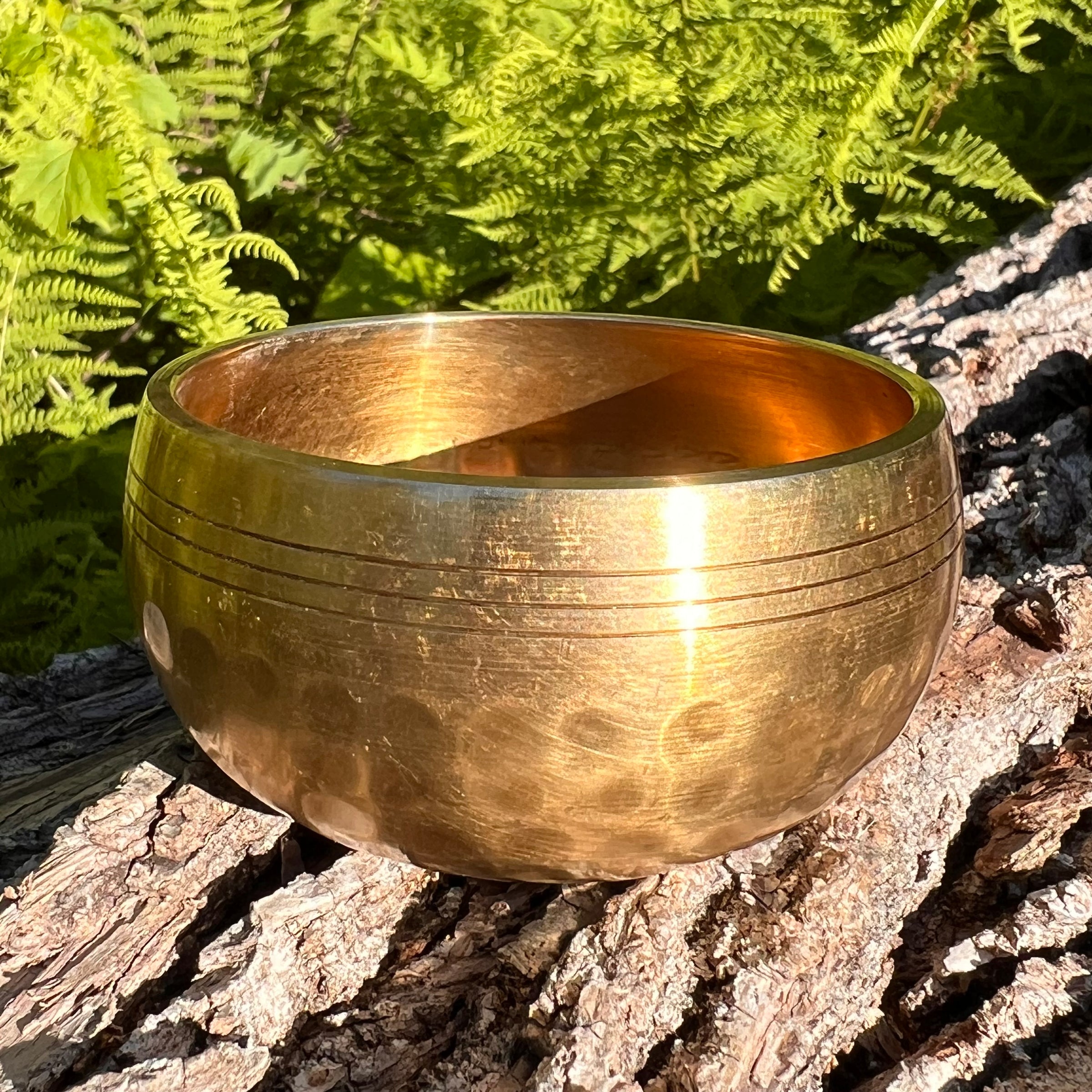 Tibetan Singing Bowl with Phenakite #51-Moldavite Life