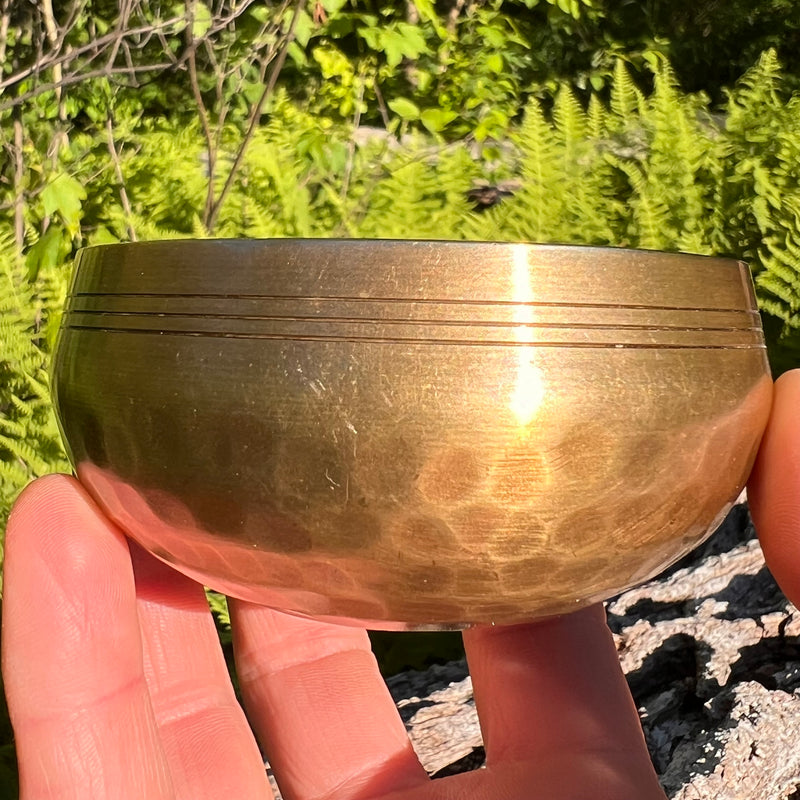 Tibetan Singing Bowl with Phenakite #52-Moldavite Life