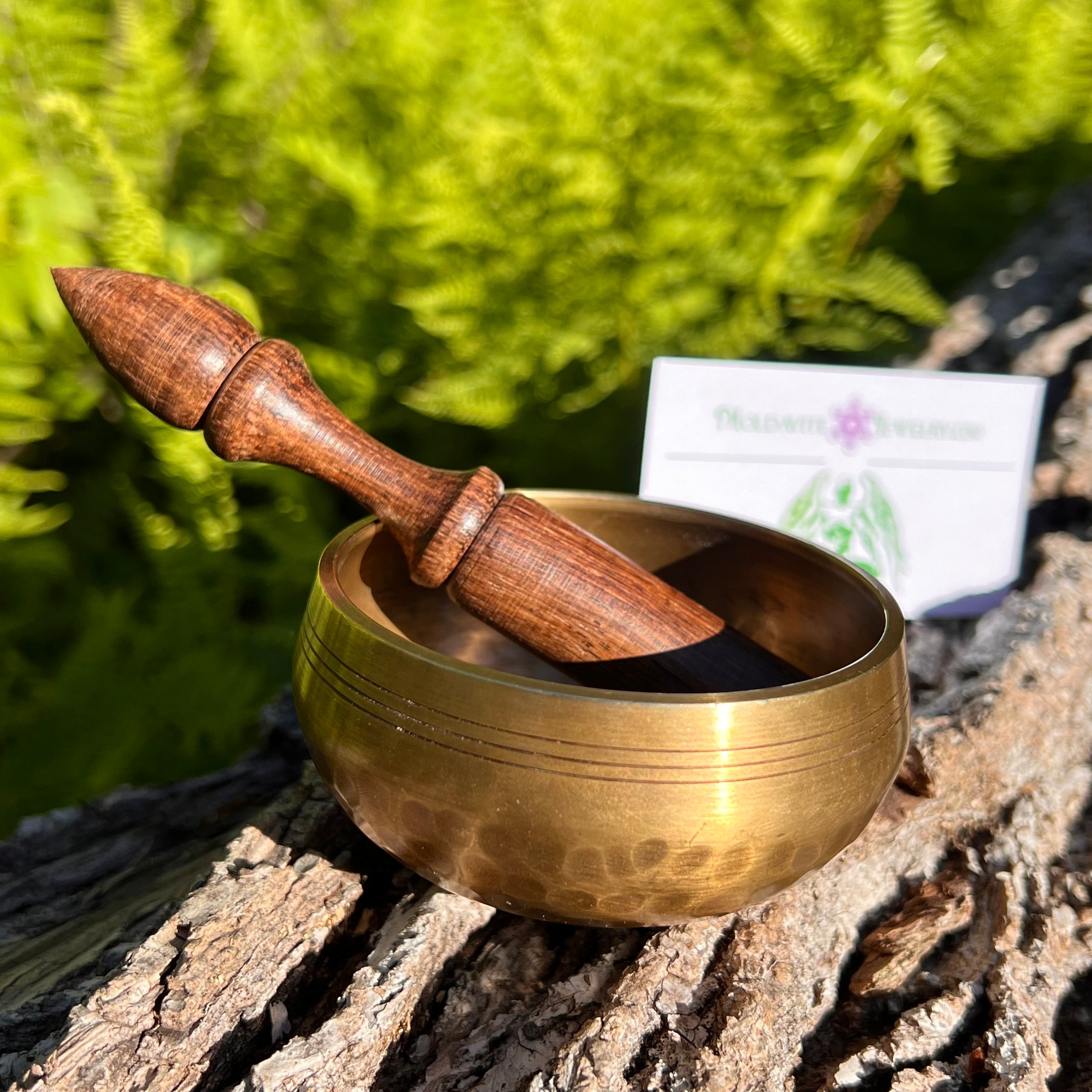 Tibetan Singing Bowl with Phenakite #52-Moldavite Life