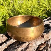 Tibetan Singing Bowl with Phenakite #52-Moldavite Life