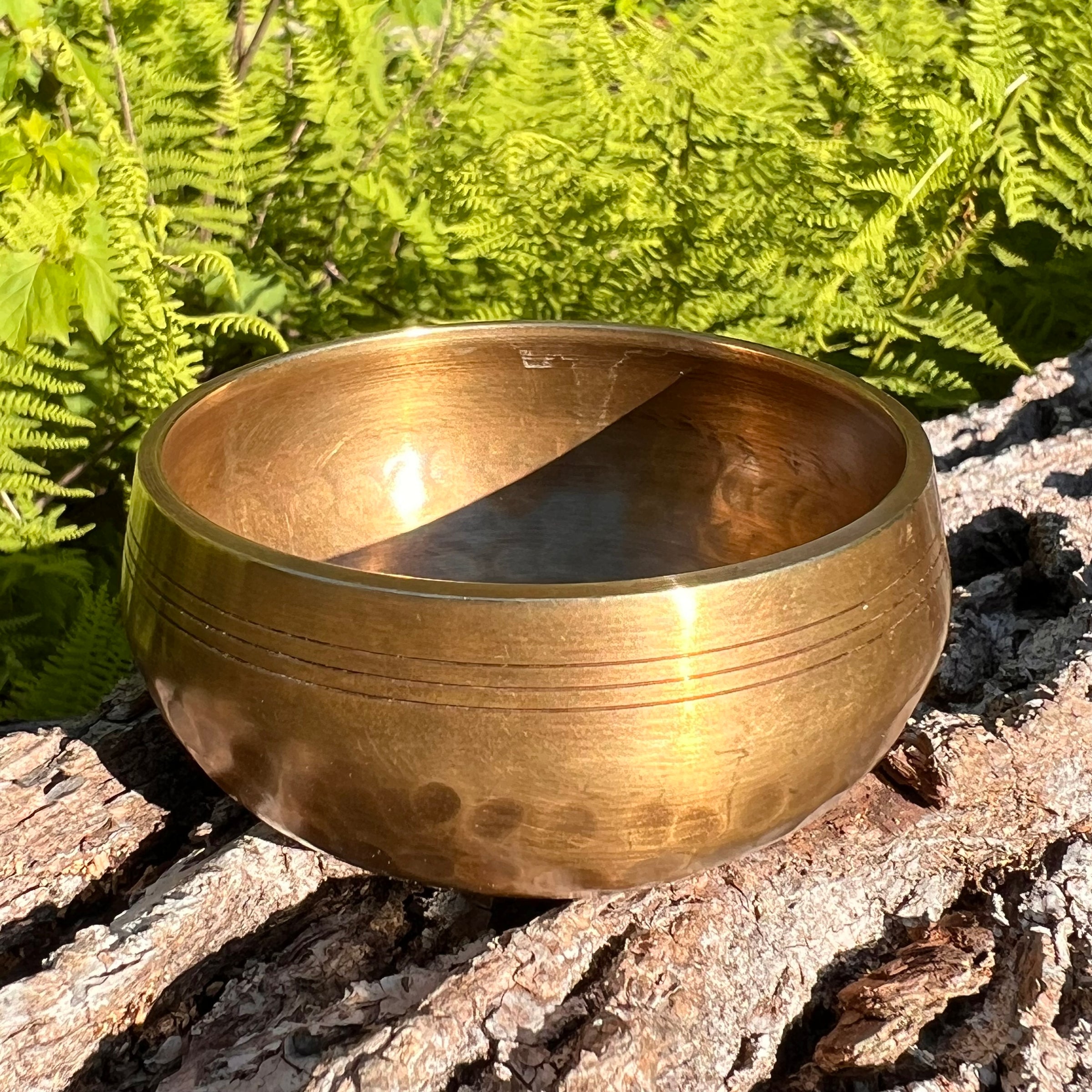 Tibetan Singing Bowl with Phenakite #52-Moldavite Life