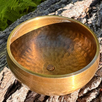 Tibetan Singing Bowl with Phenakite #53-Moldavite Life
