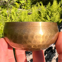 Tibetan Singing Bowl with Phenakite #53-Moldavite Life