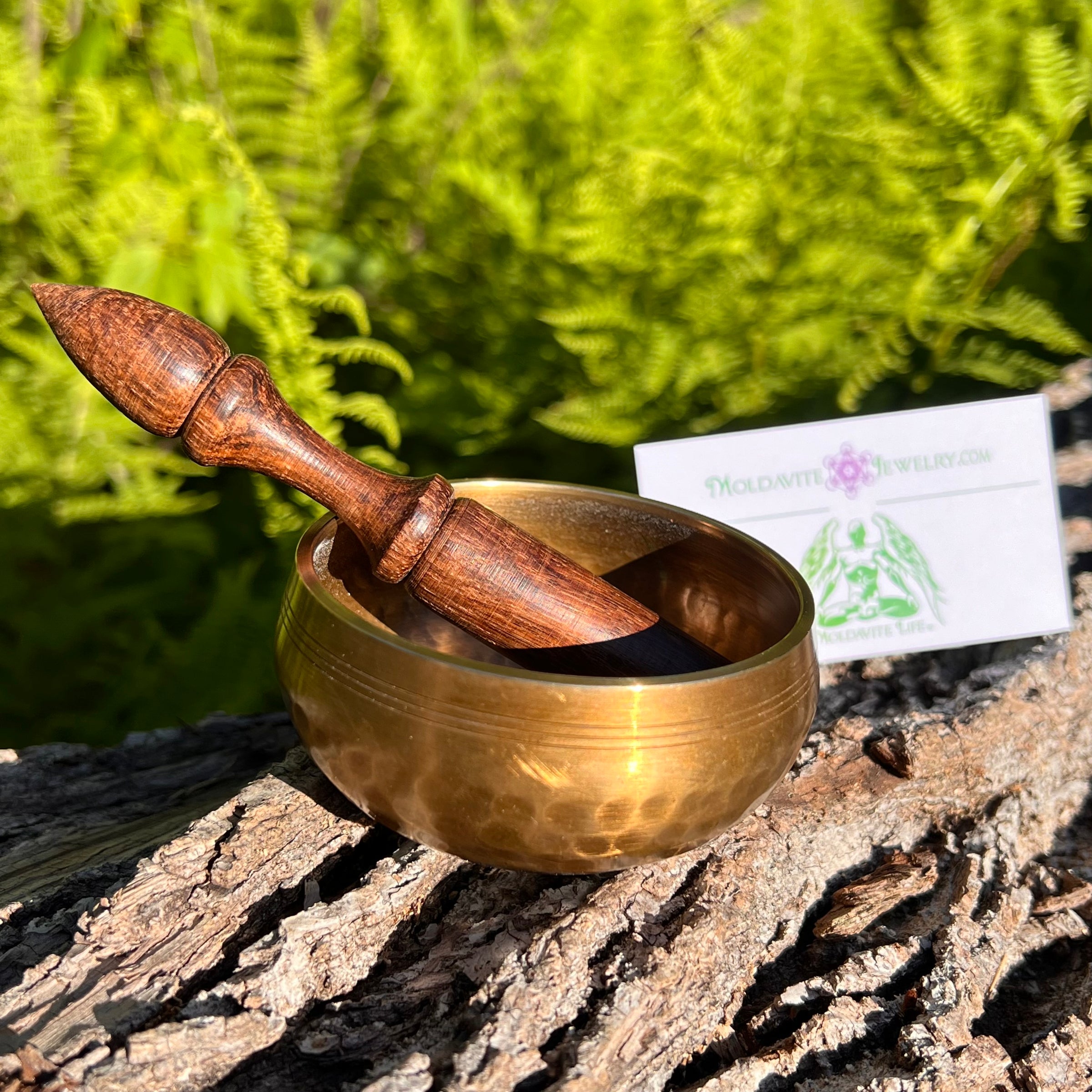 Tibetan Singing Bowl with Phenakite #53-Moldavite Life