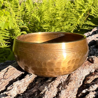 Tibetan Singing Bowl with Phenakite #53-Moldavite Life