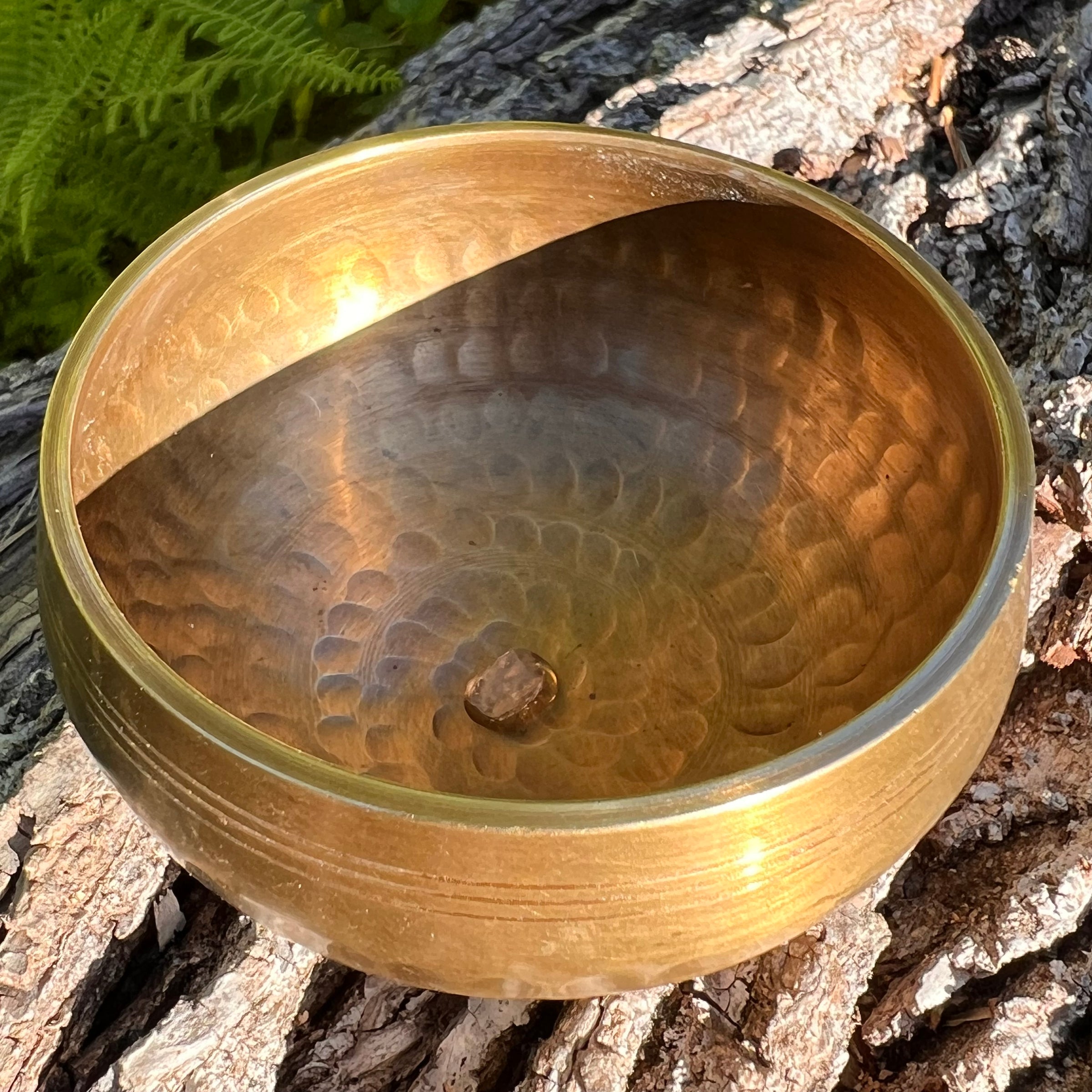 Tibetan Singing Bowl with Phenakite #54-Moldavite Life