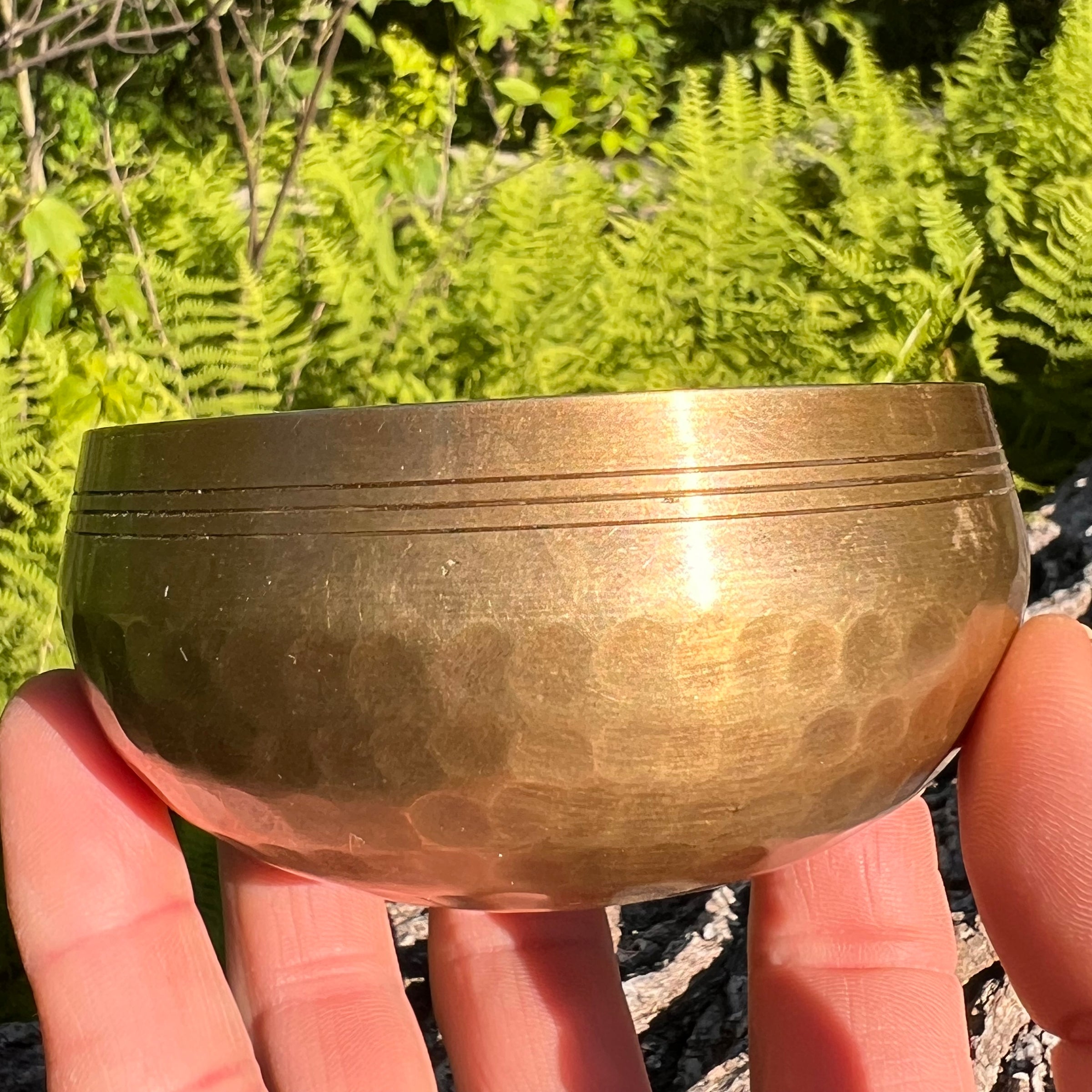 Tibetan Singing Bowl with Phenakite #54-Moldavite Life
