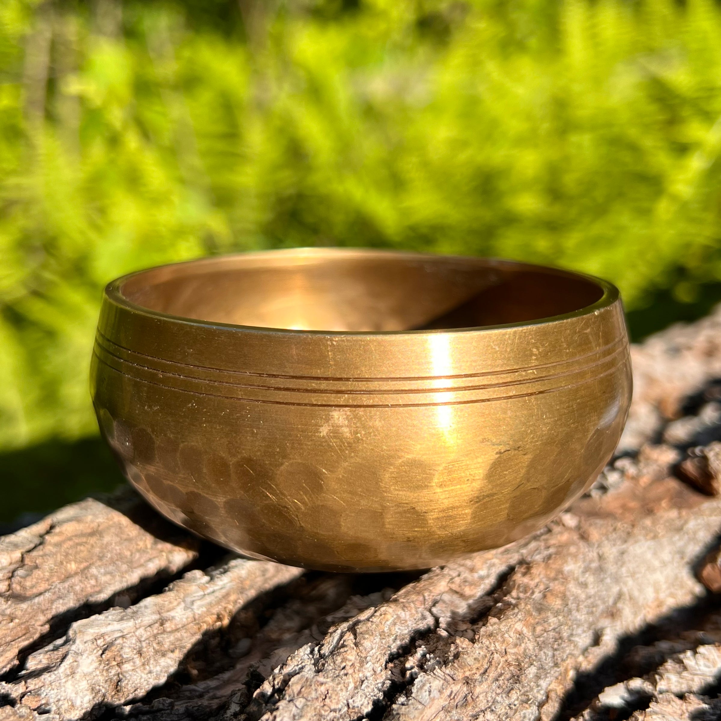 Tibetan Singing Bowl with Phenakite #54-Moldavite Life