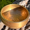 Tibetan Singing Bowl with Phenakite #55-Moldavite Life