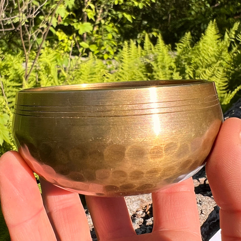 Tibetan Singing Bowl with Phenakite #55-Moldavite Life