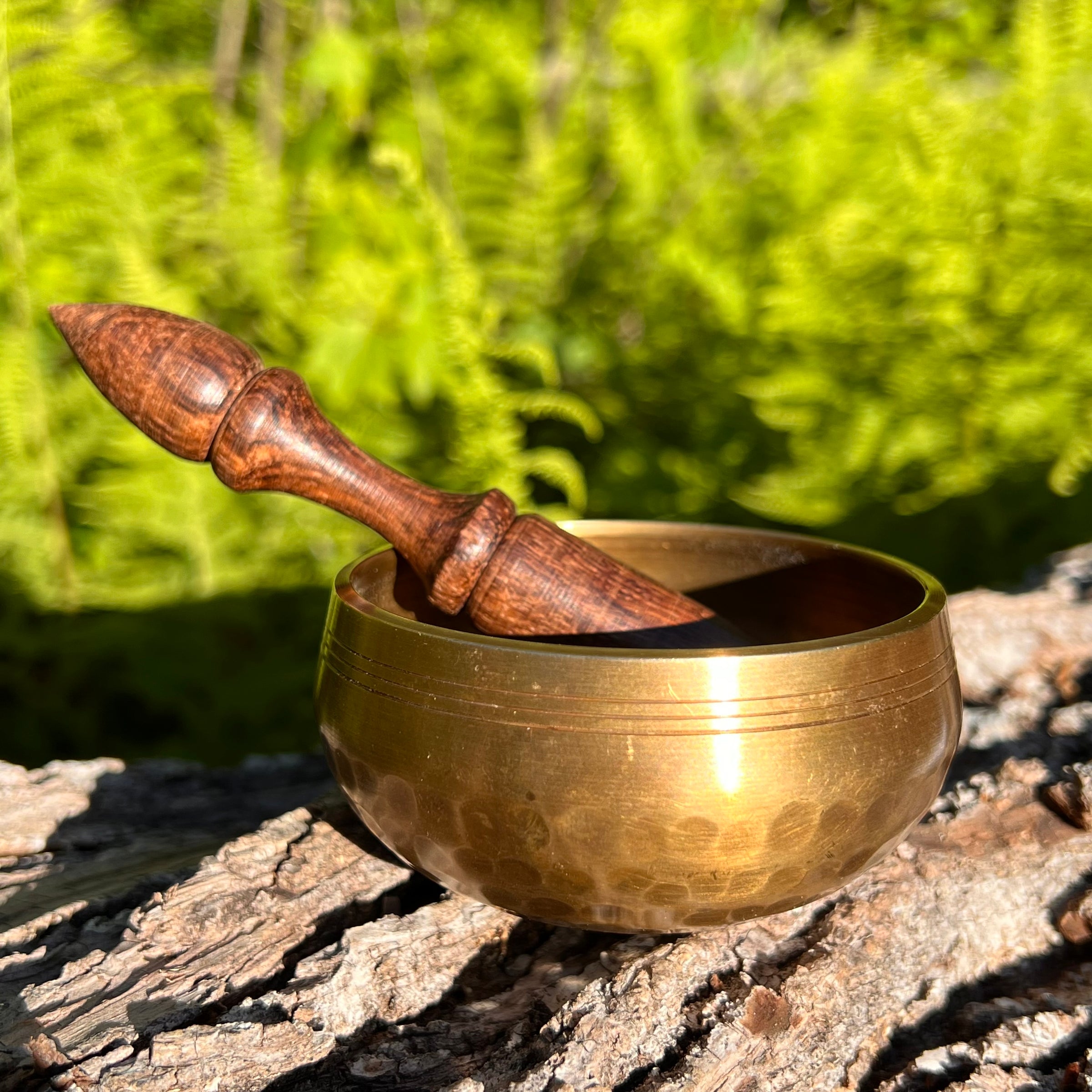Tibetan Singing Bowl with Phenakite #55-Moldavite Life