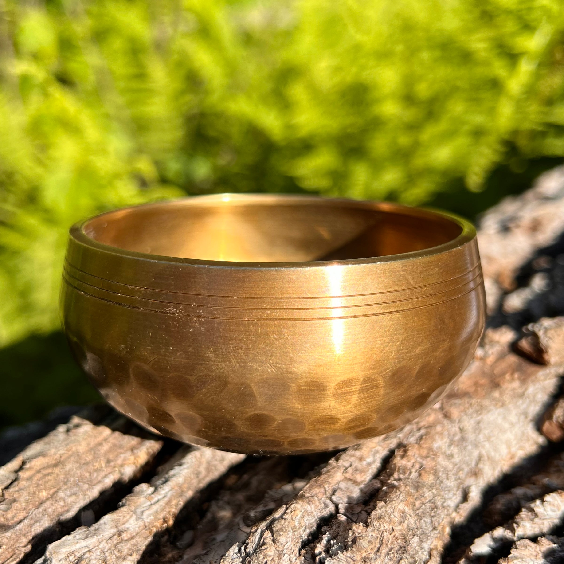 Tibetan Singing Bowl with Phenakite #55-Moldavite Life