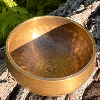 Tibetan Singing Bowl with Phenakite #56-Moldavite Life