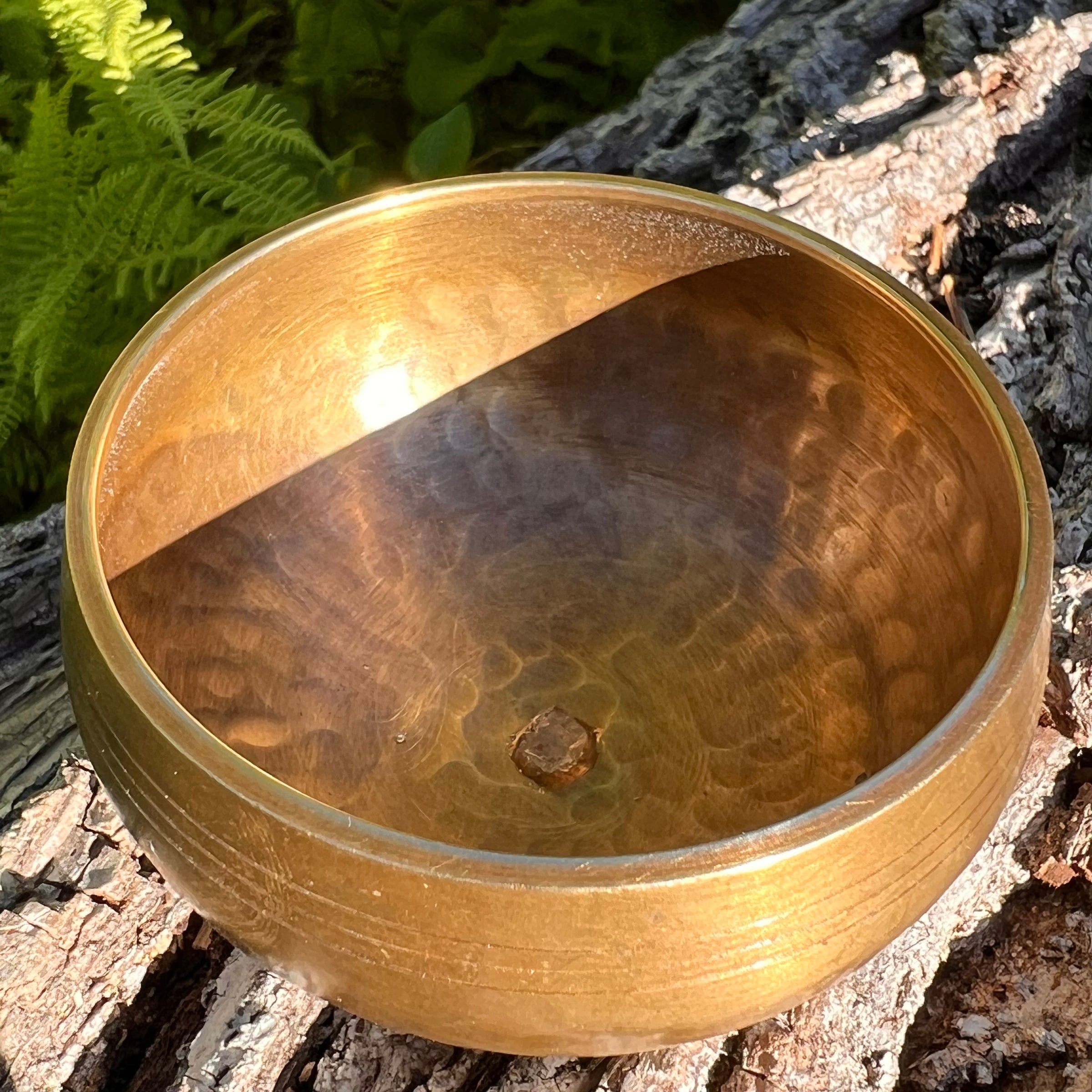 Tibetan Singing Bowl with Phenakite #56-Moldavite Life