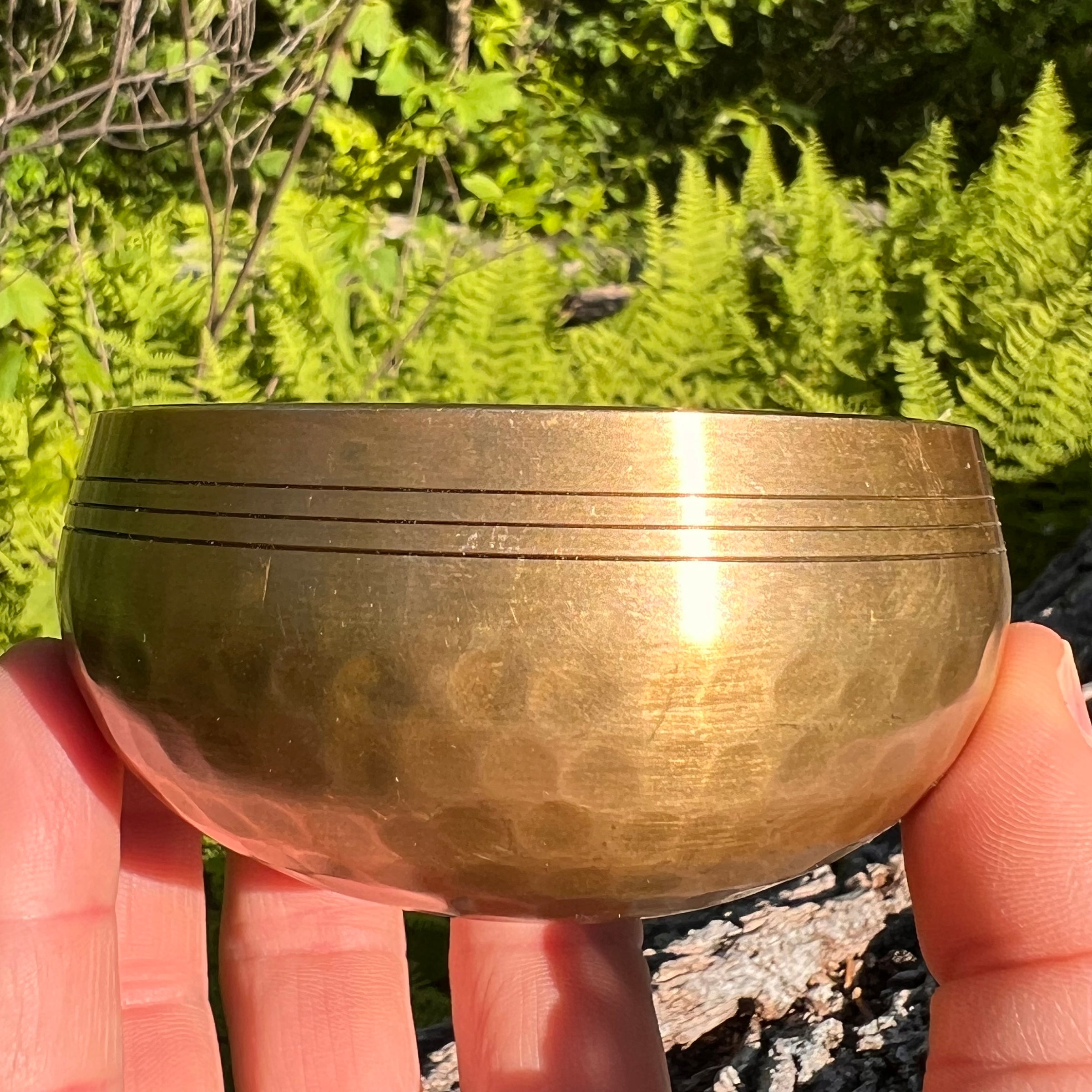 Tibetan Singing Bowl with Phenakite #56-Moldavite Life
