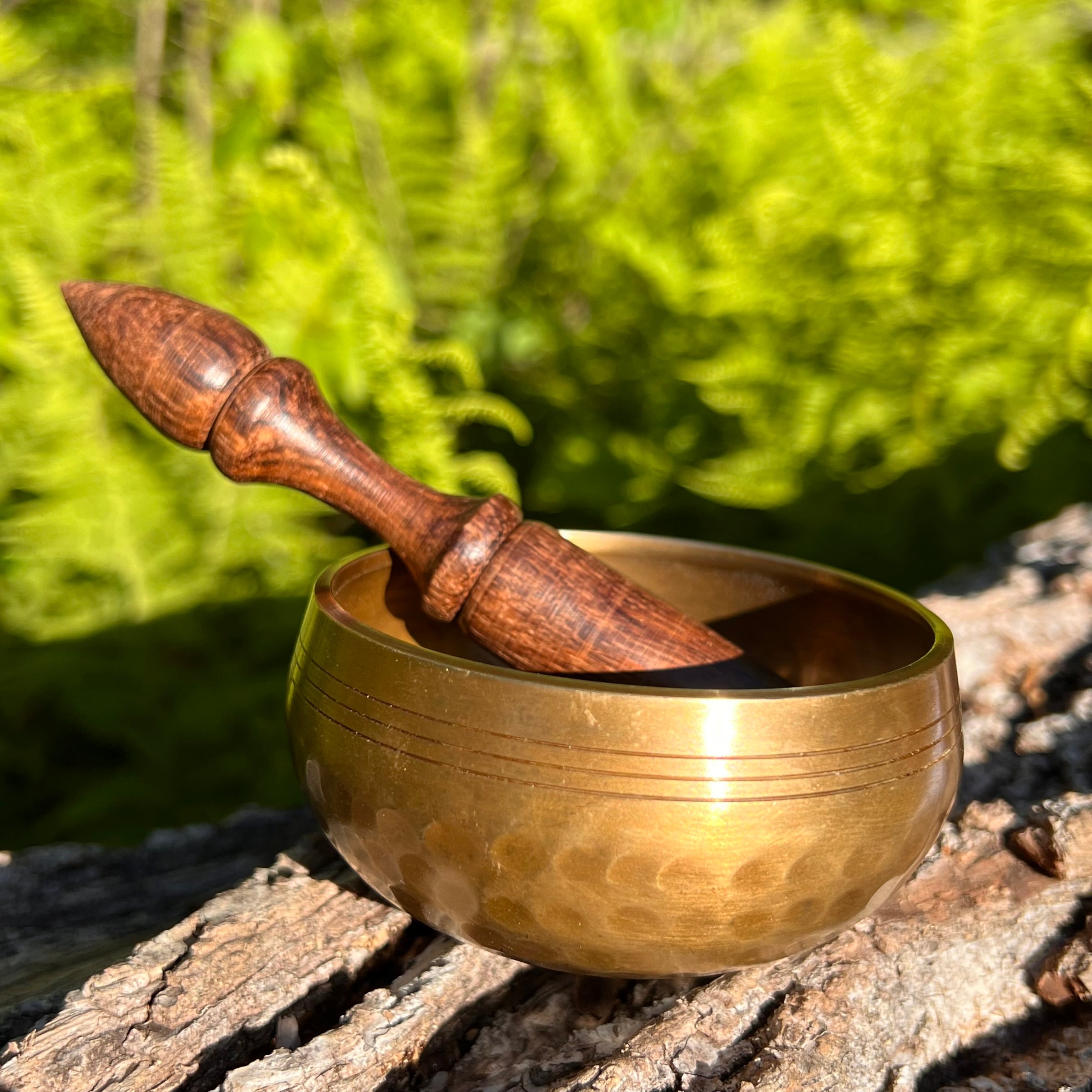 Tibetan Singing Bowl with Phenakite #56-Moldavite Life