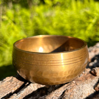 Tibetan Singing Bowl with Phenakite #56-Moldavite Life