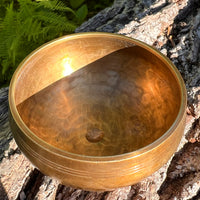 Tibetan Singing Bowl with Phenakite #57-Moldavite Life