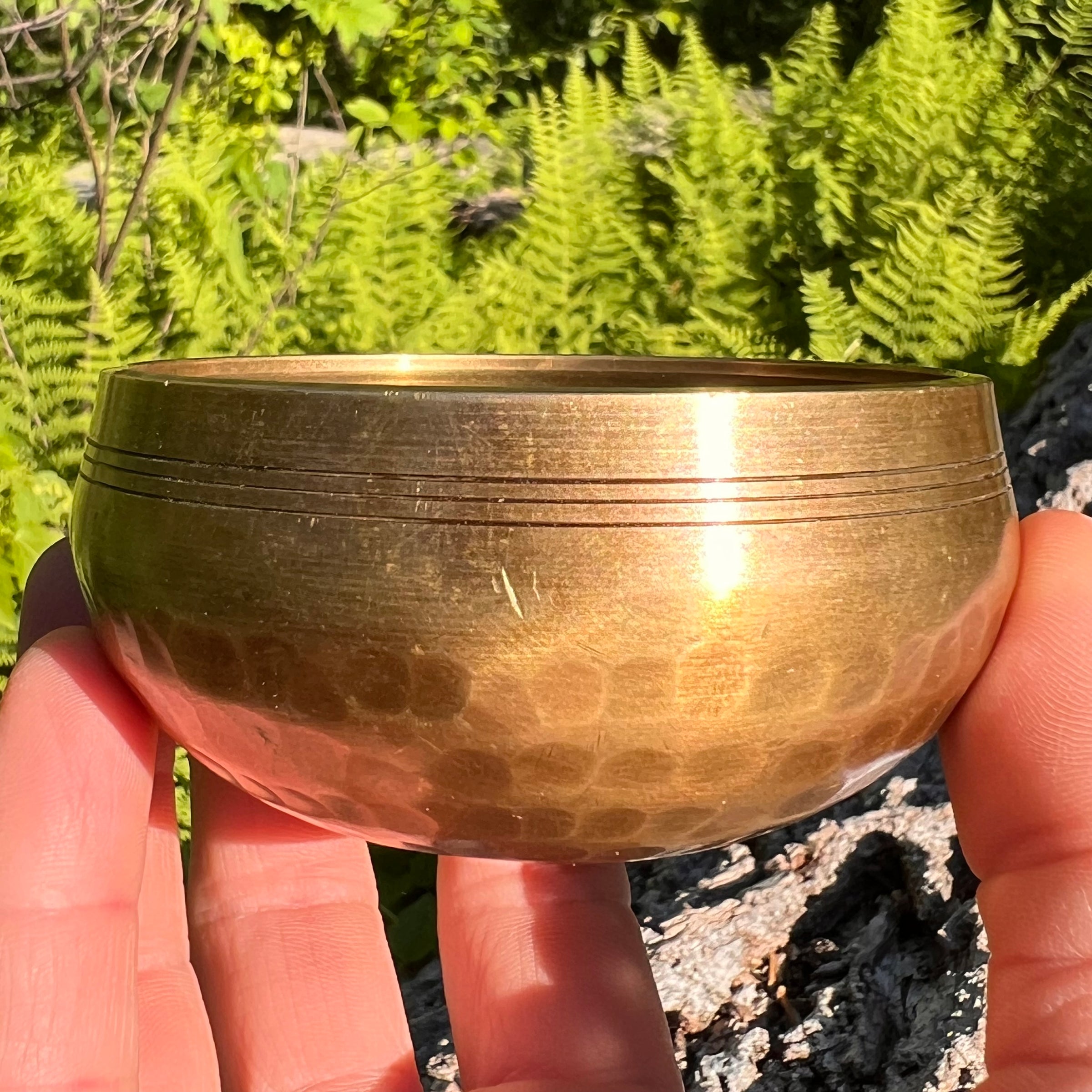 Tibetan Singing Bowl with Phenakite #57-Moldavite Life