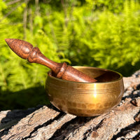 Tibetan Singing Bowl with Phenakite #57-Moldavite Life