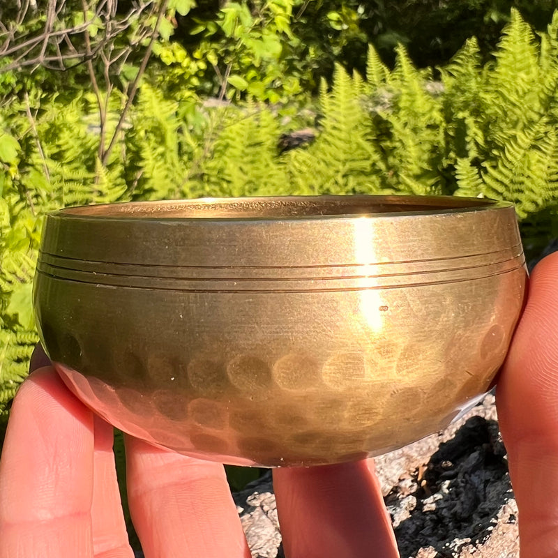 Tibetan Singing Bowl with Phenakite #58-Moldavite Life