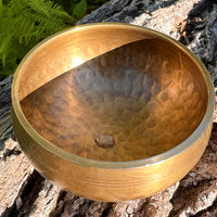 Tibetan Singing Bowl with Phenakite #58-Moldavite Life