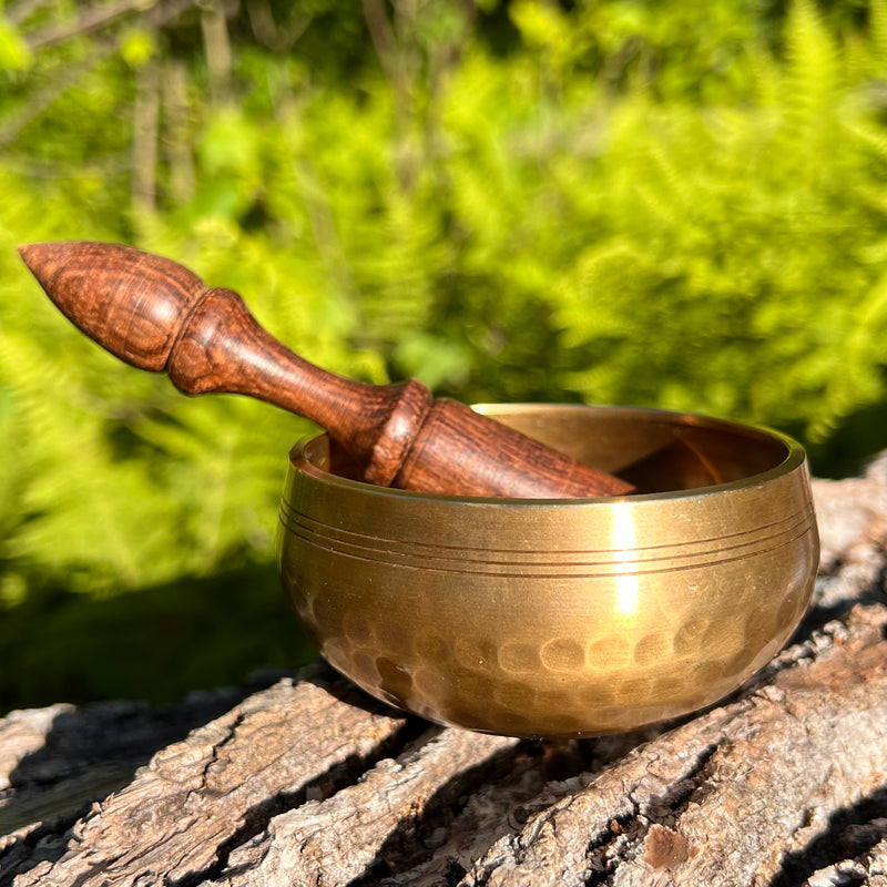 Tibetan Singing Bowl with Phenakite #58-Moldavite Life