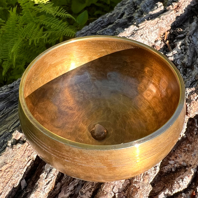 Tibetan Singing Bowl with Phenakite #59-Moldavite Life