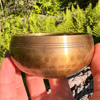 Tibetan Singing Bowl with Phenakite #59-Moldavite Life