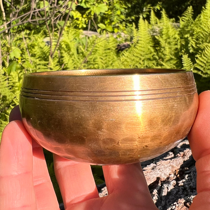 Tibetan Singing Bowl with Phenakite #59-Moldavite Life