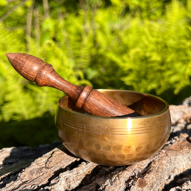 Tibetan Singing Bowl with Phenakite #59-Moldavite Life