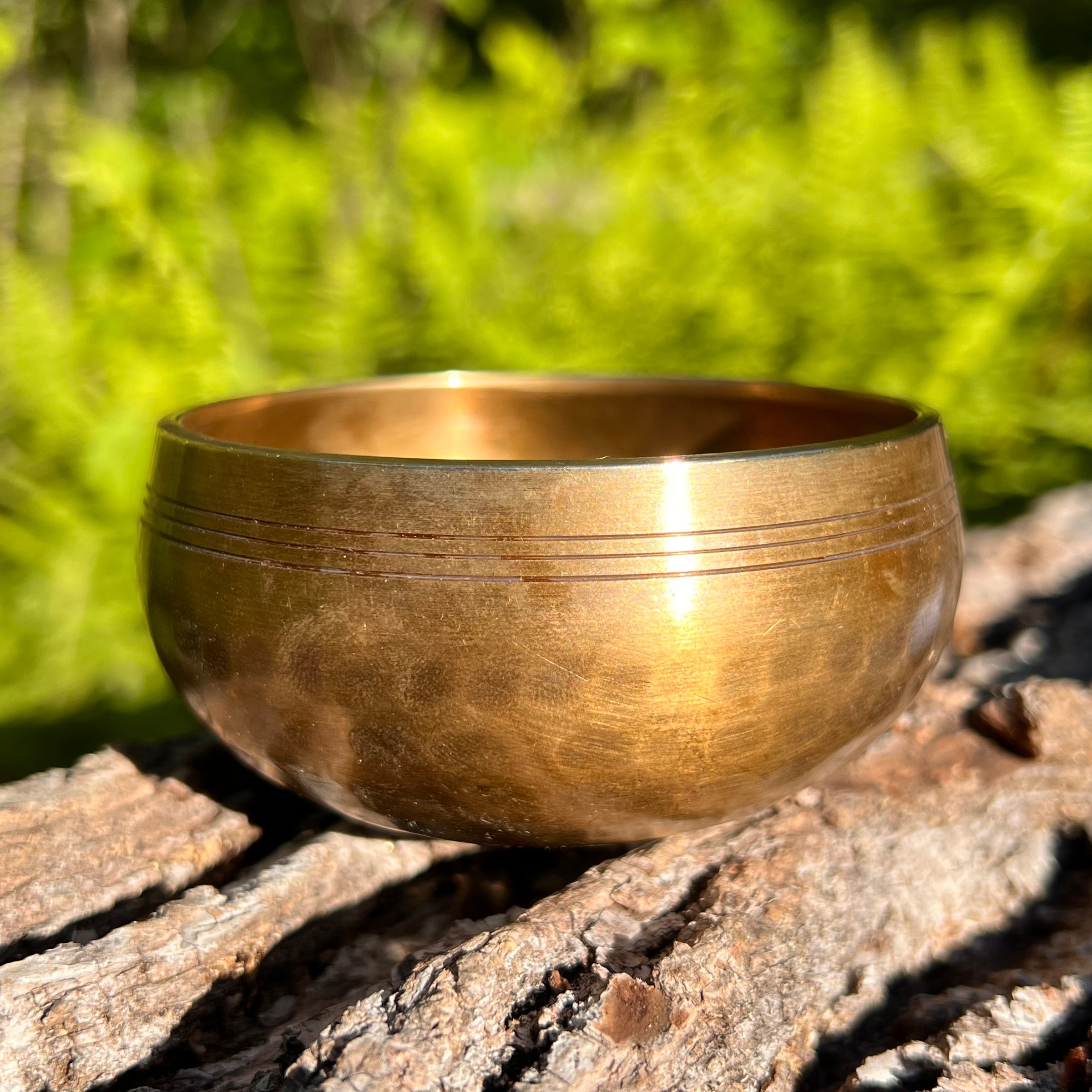 Tibetan Singing Bowl with Phenakite #59-Moldavite Life