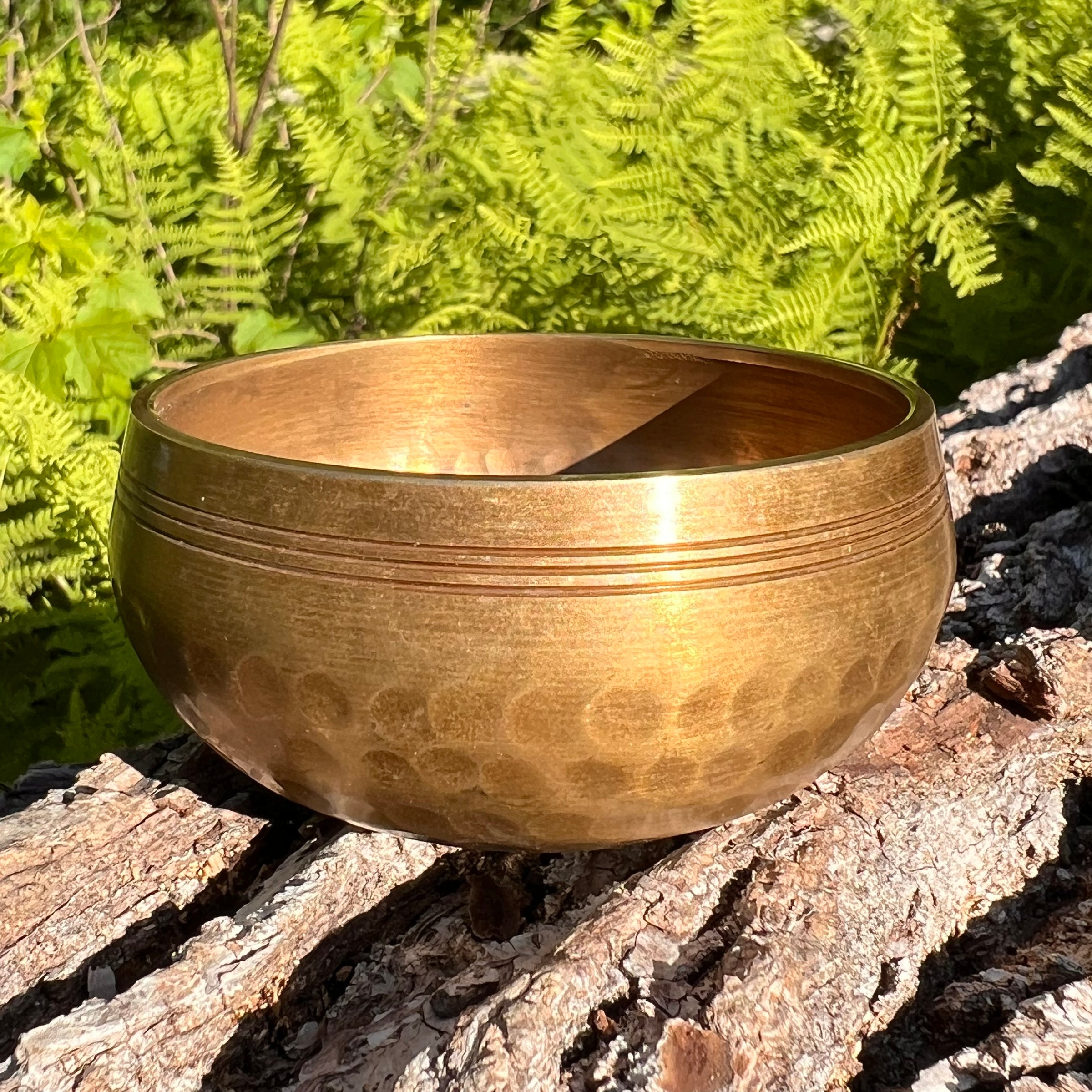 Tibetan Singing Bowl with Phenakite #60-Moldavite Life
