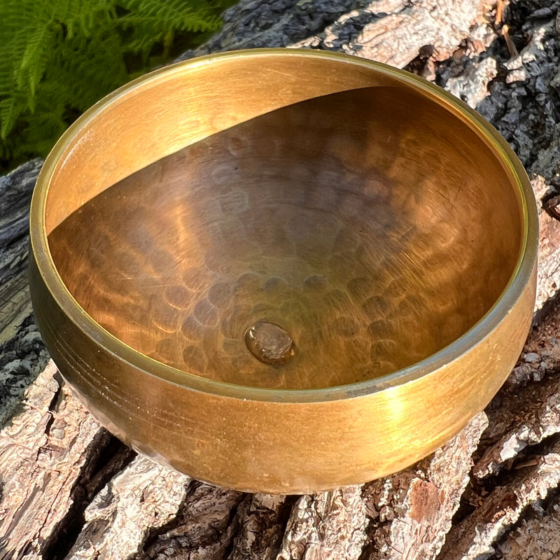 Tibetan Singing Bowl with Phenakite #61-Moldavite Life
