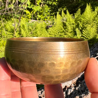 Tibetan Singing Bowl with Phenakite #61-Moldavite Life