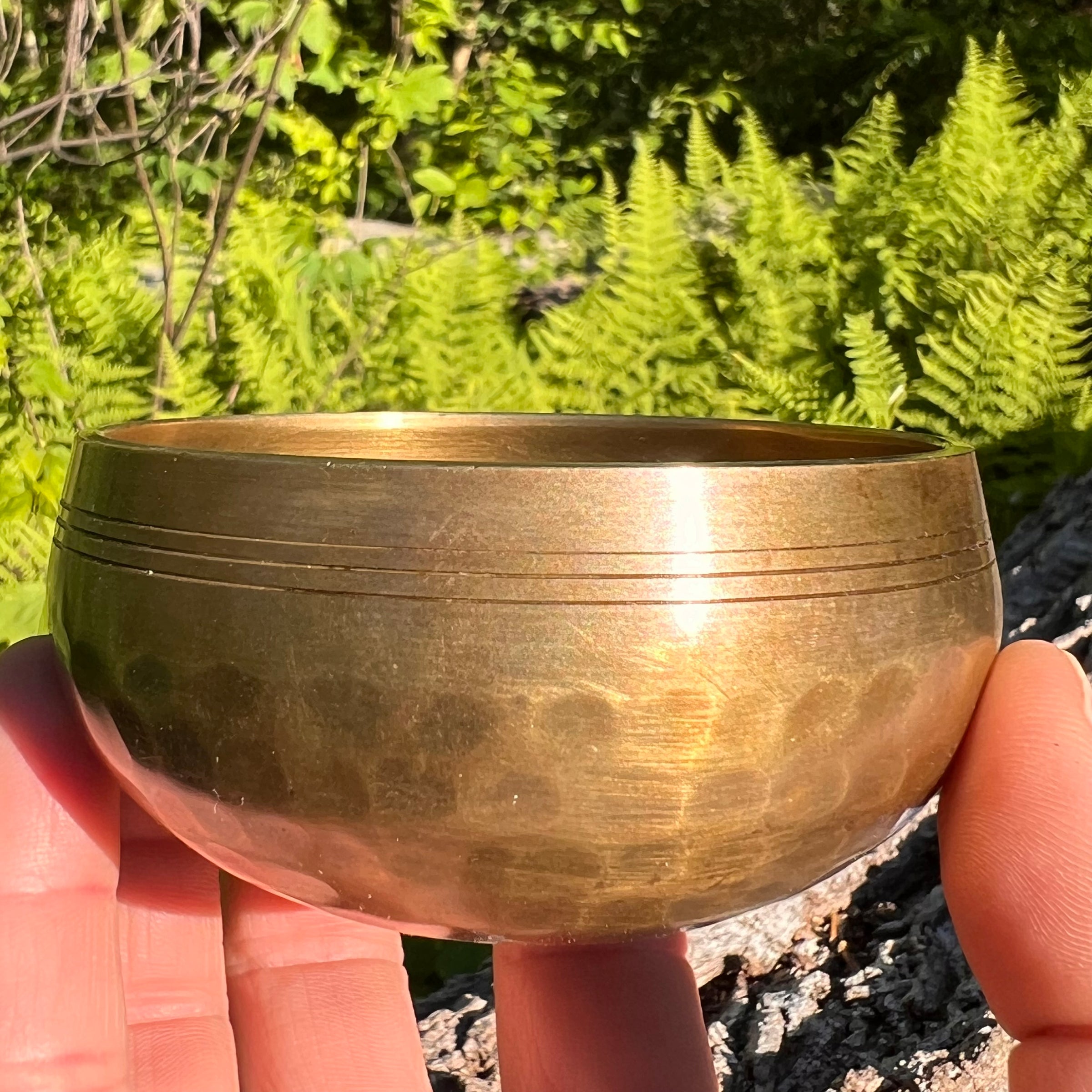 Tibetan Singing Bowl with Phenakite #61-Moldavite Life