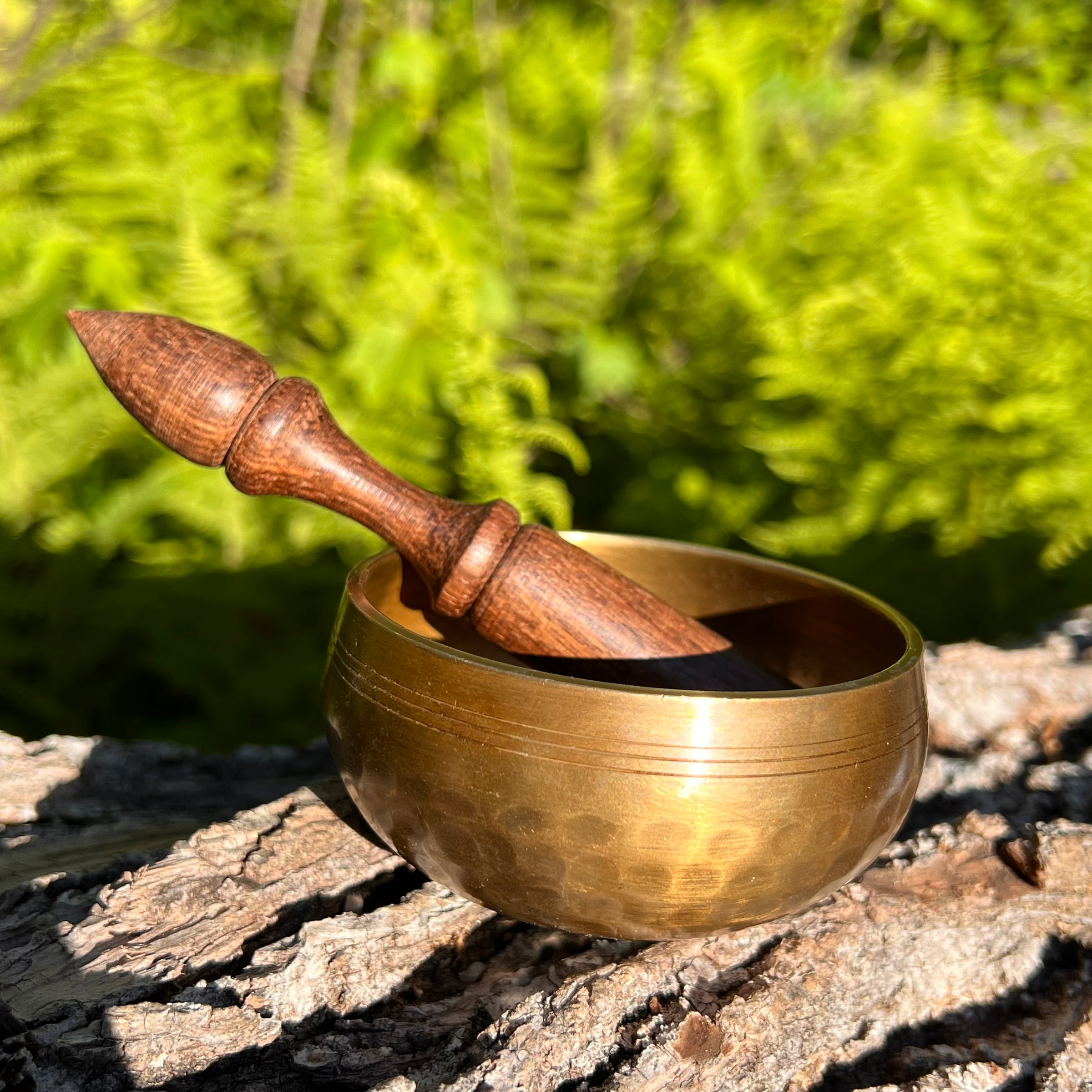 Tibetan Singing Bowl with Phenakite #61-Moldavite Life