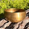 Tibetan Singing Bowl with Phenakite #61-Moldavite Life
