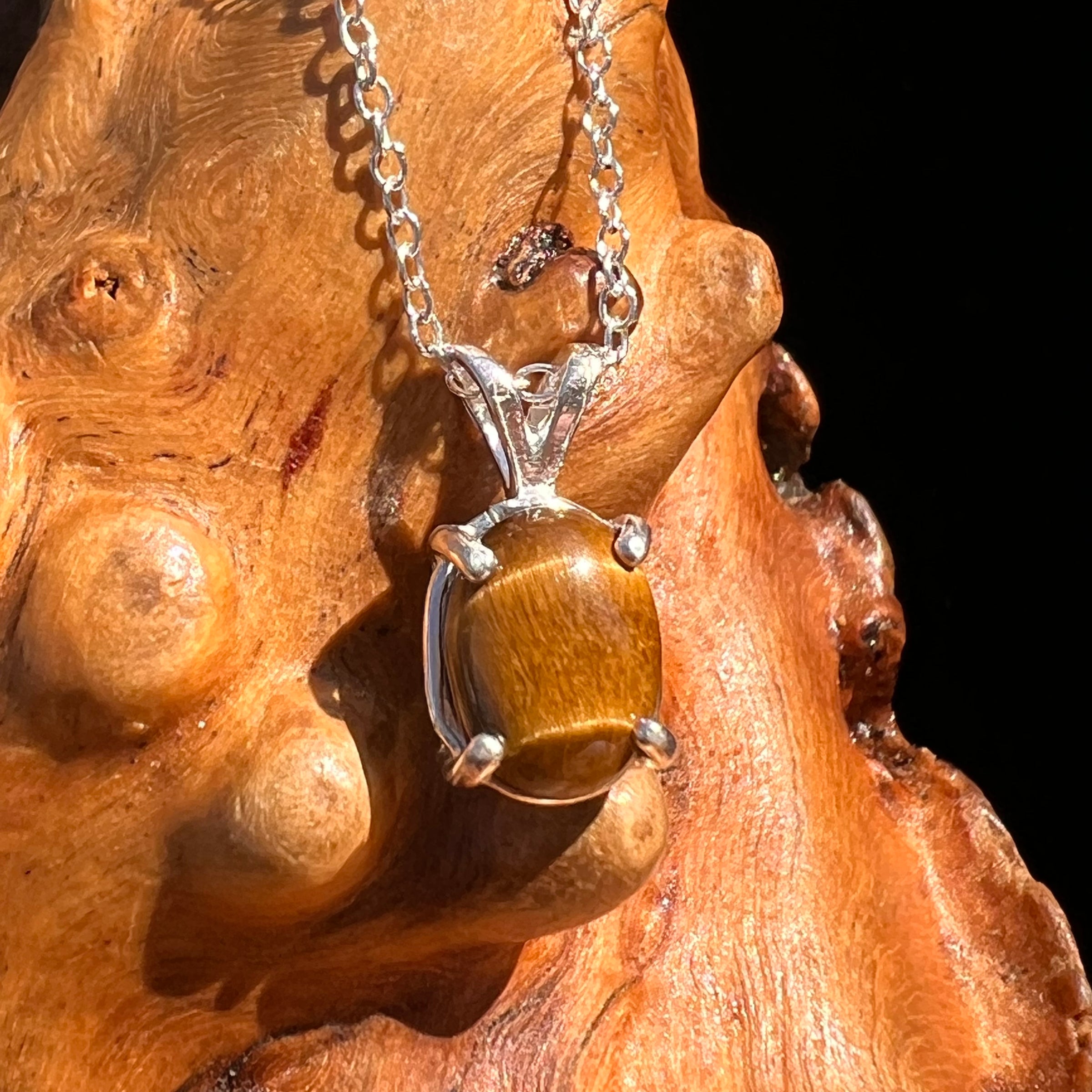 Tiger Eye Necklace Sterling Silver #7756-Moldavite Life