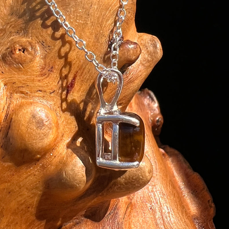 Tiger Eye Necklace Sterling Silver #7759-Moldavite Life
