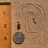 Tiger Eye Necklace Sterling Silver #7759-Moldavite Life