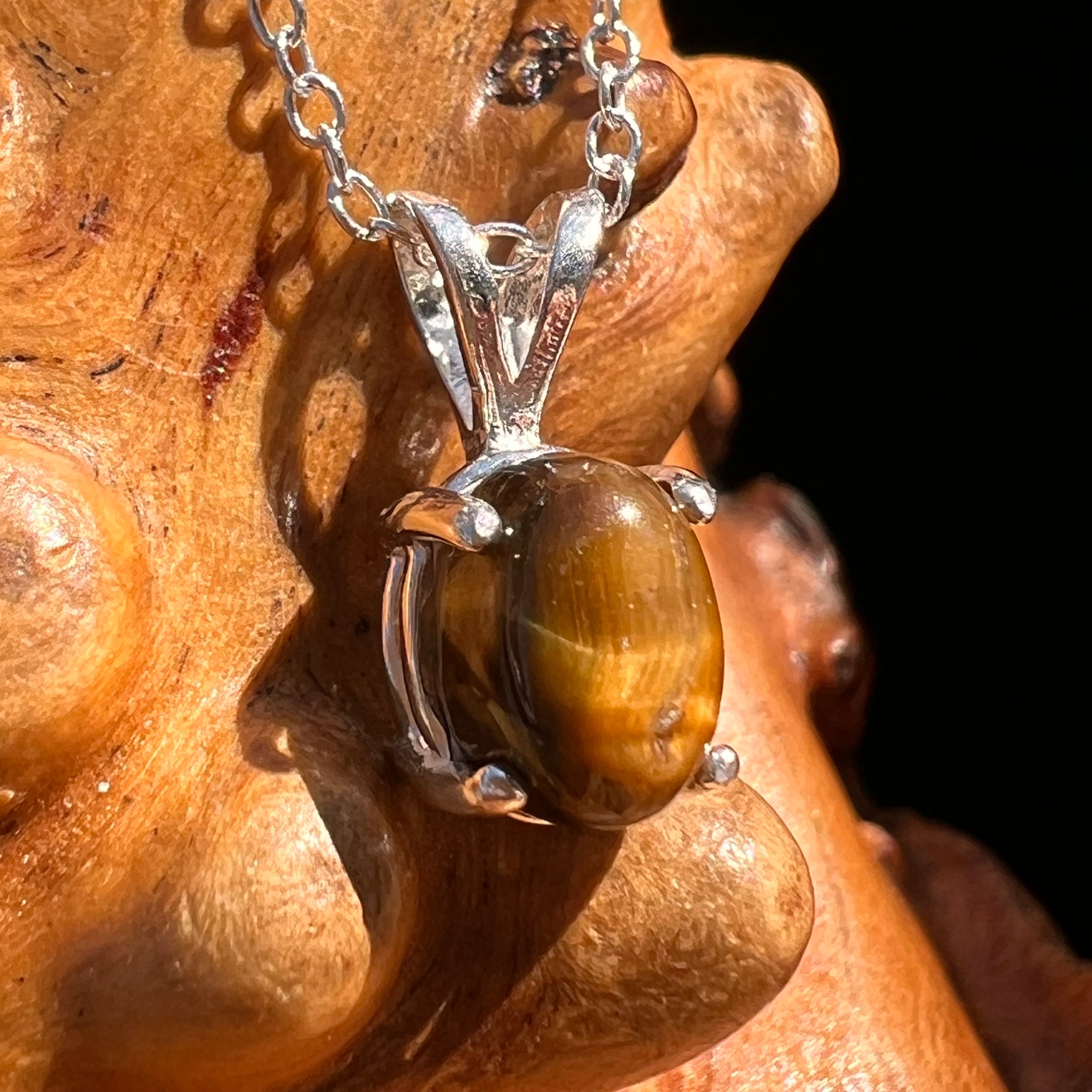 Tiger Eye Necklace Sterling Silver #7760-Moldavite Life