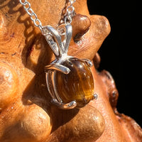 Tiger Eye Necklace Sterling Silver #7761-Moldavite Life