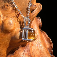 Tiger Eye Necklace Sterling Silver #7761-Moldavite Life