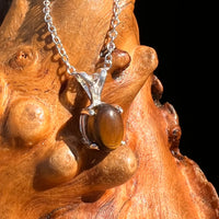 Tiger Eye Necklace Sterling Silver #7763-Moldavite Life