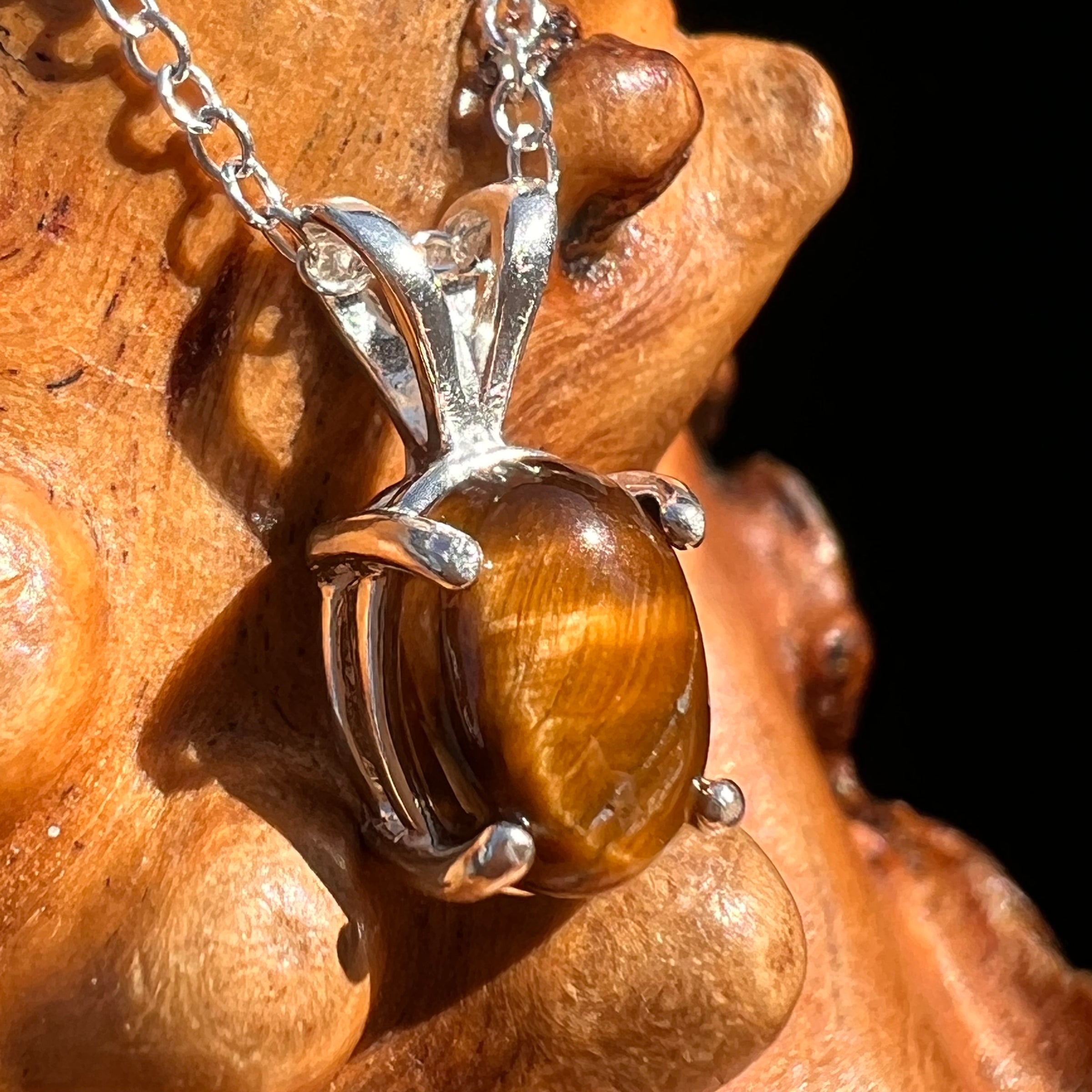 Tiger Eye Necklace Sterling Silver #7764-Moldavite Life